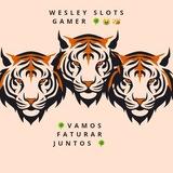 Telegram profile photo for WS SLOTS GAMER 🍀🤑