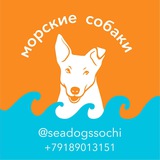 Telegram profile photo for Seadogssochi