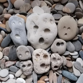 Telegram profile photo for Маленькие морские камни 🗿🗿🗿