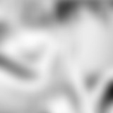 Telegram profile photo for .𝐁᪾ыдꙶачꤩޫи пр᪾゙⃝𝟏зо𑩑в @Enlinel ≡