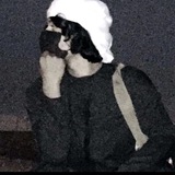 Telegram profile photo for هواجيس ابرزي 🦋