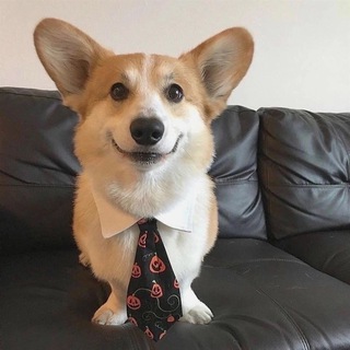 Telegram profile photo for прайс лист