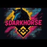 Telegram profile photo for DarkHorseOnBNB SafeGuard
