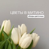 Telegram profile photo for ЦВЕТЫ - Тюльпаны | МИТИНО Москва