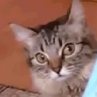 Telegram profile photo for do not waste your time