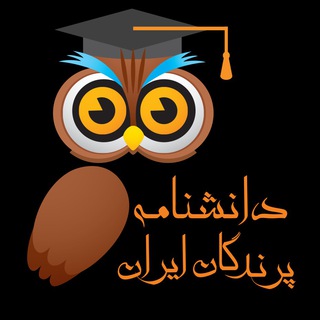 Telegram profile photo for Iran Birds 🦉