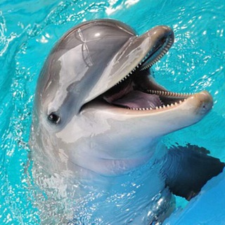 Telegram profile photo for BioFaktoriy