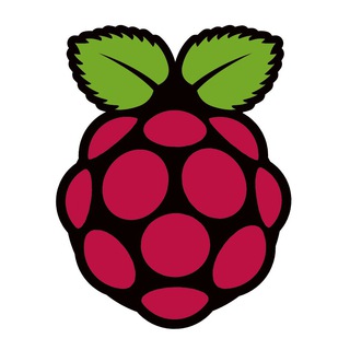 Telegram group profile photo for Raspberry PI (Indonesia & Melayu)