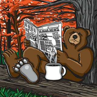 Telegram profile photo for ✏️ Problembär 🐻🔎📰