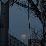 Telegram profile photo for bLEk_3:15⛓🩸