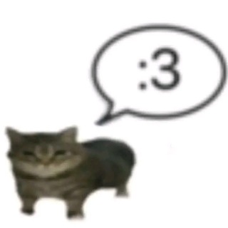 Telegram profile photo for ㅤ⸝ ⸝ ִᅠinfo.