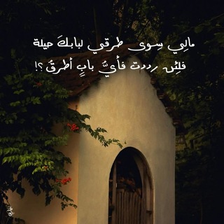Telegram profile photo for والنّور الّذي اتّبعُوه🔻