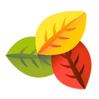 Telegram profile photo for Фото, видео, архивы - пансионаты Осень жизни