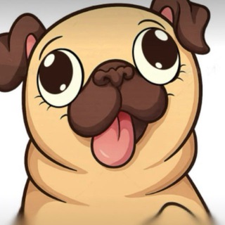 Telegram profile photo for Pug ino persian🇮🇷🇮🇷