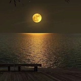 Telegram profile photo for القدرات "تأسيس الكمي"