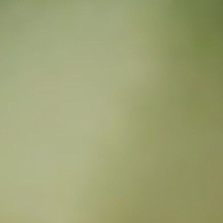 Telegram profile photo for infazci