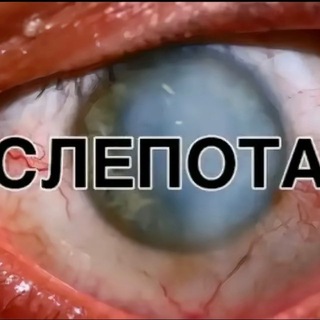 Telegram profile photo for вторая попытка