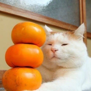 Telegram profile photo for Доброе Утро