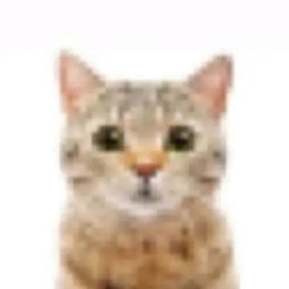 Telegram profile photo for ^_^