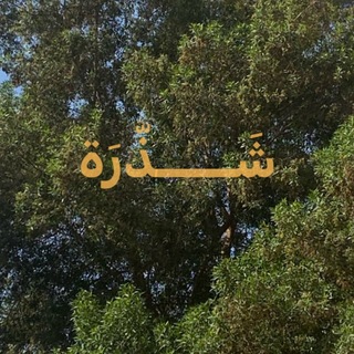Telegram profile photo for شَذْرَة