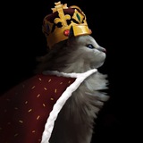 Telegram profile photo for BBQ引流僵尸粉