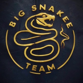 Telegram profile photo for 🛴 Big snake team 🛴