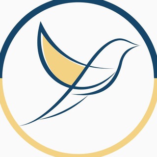Telegram profile photo for МБФ «Розвиток Нашого Міста»