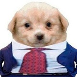 Telegram profile photo for якісь шітпости