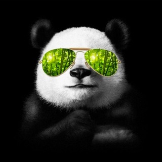 Telegram profile photo for BAMBOOK