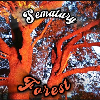Telegram profile photo for Звёзды в подарок | Sematary Forest
