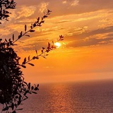 Telegram profile photo for دليل الثقة