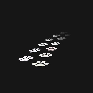Telegram profile photo for С 1 до 100 ETH