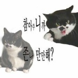 Telegram profile photo for Лисапилка