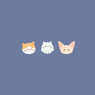 Telegram profile photo for Котики с депрессией