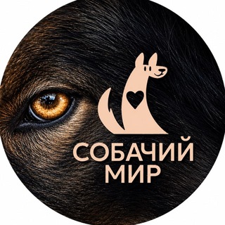 Telegram profile photo for Приют «Собачий мир»