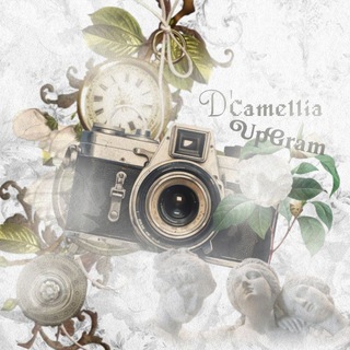 Telegram profile photo for ׂ ׅ ॱ ⩇⩇ ׂ 𝓓'Camellia 𝓤pgram ׅ 𓄶 ࣪ ׂ۪