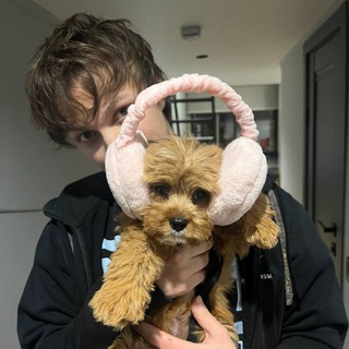 Telegram profile photo for ульяна чайковская🧚