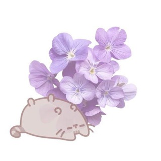 Telegram profile photo for 🌸Spacetiness!переходник🌸