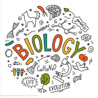Telegram profile photo for Smart Bio ဇီဝဗေဒ သင်ထောက်ကူစုစည်းမှု
