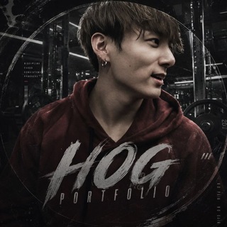 Telegram profile photo for Hog Portfolio