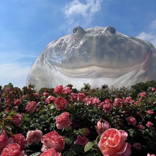 Telegram profile photo for Лягуха возвращение