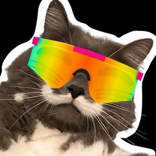 Telegram profile photo for MikeyApe Calls
