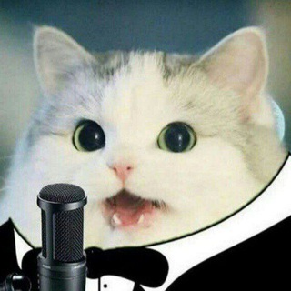 Telegram profile photo for Voice Acting & Shitposts
