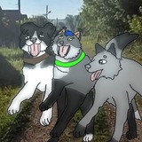 Telegram profile photo for Лапка Мурзэ