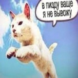 Telegram profile photo for лима's lifefe
