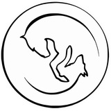 Telegram profile photo for БаскоTeam