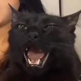 Telegram profile photo for Adushka garage sale