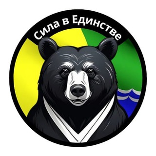 Telegram profile photo for Помощь участникам "СВО" п. Эльбан Общественное объединение "Сила в Единстве"