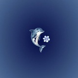 Telegram profile photo for Dolphin gallery 🐬✨️