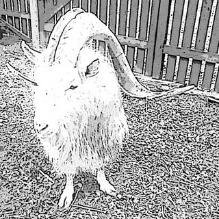 Telegram profile photo for Белорусский Сатанист